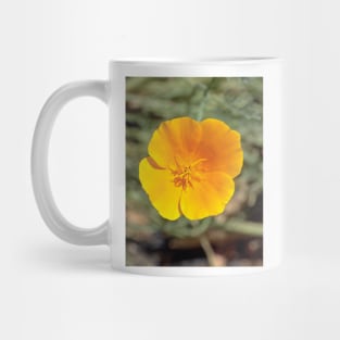 California Poppy Mug